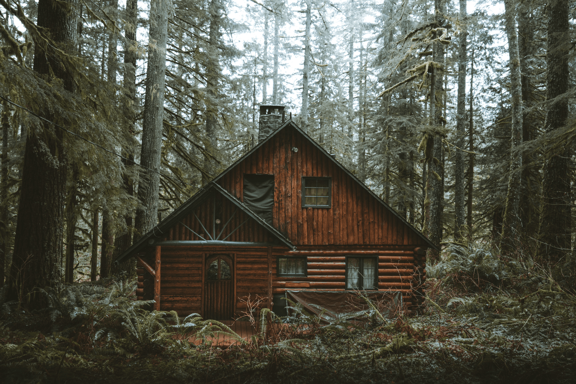 Mountains and forests with two cabins